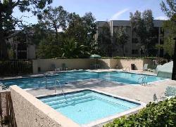 Raintree Condominiums
