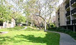 Raintree Condominiums