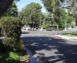 Raintree Townhomes