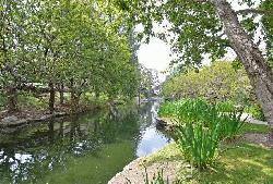 Raintree Townhomes