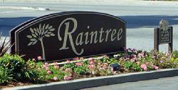 Raintree Townhomes