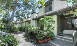 Raintree Townhomes