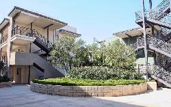 Concerto at Playa Vista