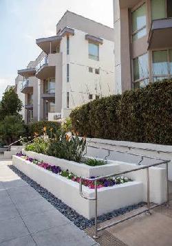 Promenade Playa Vista