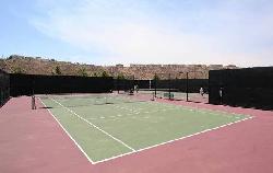 Matisse Playa Vista