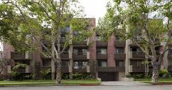 Linden Drive