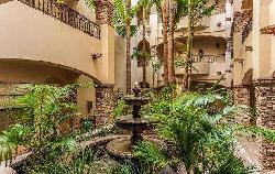 Hoffman Grove
