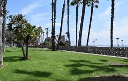 Pacific Strand