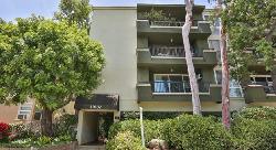 Coral Tree Condominiums