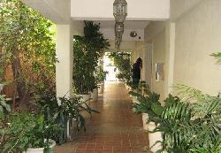 Coral Tree Condominiums