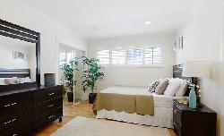 938 Palm