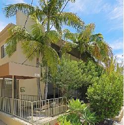 938 Palm