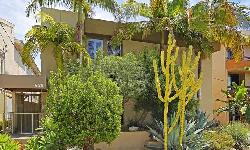 938 Palm