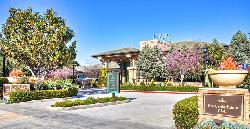 Lofts at Playa Vista