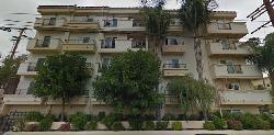 Doheny Seasons