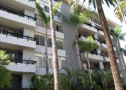 Palm Savoy