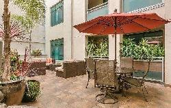 Raymond Renaissance, The