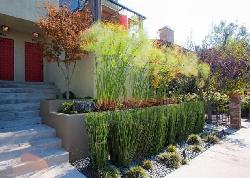 Westmount Townhomes