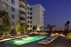 Avenue, The