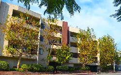 Vista Towers