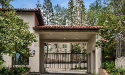 Enclave at Century Woods