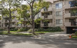 Beverly Palm West