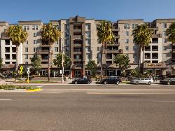 AO Santa Monica