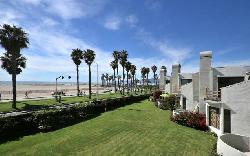 Sea Colony I