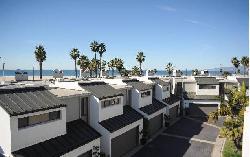 Sea Colony I