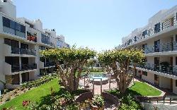 Sea Colony II