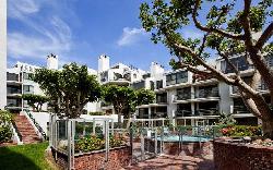 Sea Colony II
