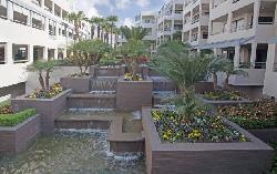 Sea Colony III