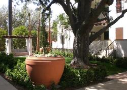 Ambassador Gardens, The Grove