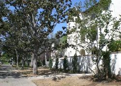 Ambassador Gardens, The Grove