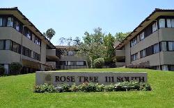 Rose Tree