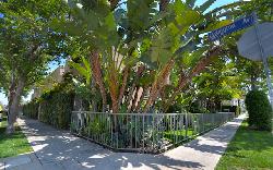 Sycamore Townhomes
