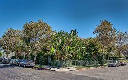 Sycamore Townhomes