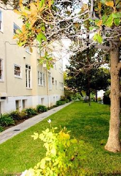 Miramonte Terrace