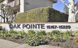 Oak Pointe