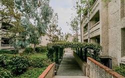 Oak Pointe