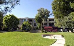 Oak Pointe