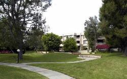 Oak Pointe