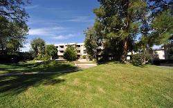 Oak Pointe