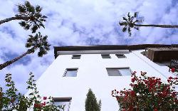 Orchid Apartments