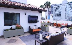 Orchid Apartments