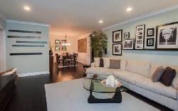 Brentwood Cedar Tree