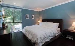 Brentwood Cedar Tree