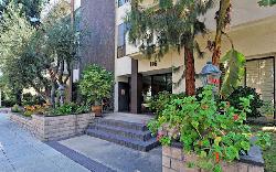 Wilshire Swall