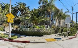 Allesandro Palms