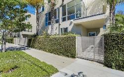 Allesandro Palms